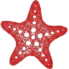 cropped logo.png